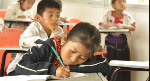 Mesa pide al gobierno dar certidumbre para concluir el año escolar