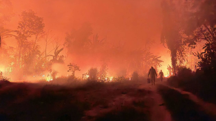 Latinoamérica pierde sus bosques a un ritmo alarmante: ¿Bolivia está preparada para gestionar los recursos verdes con transparencia?