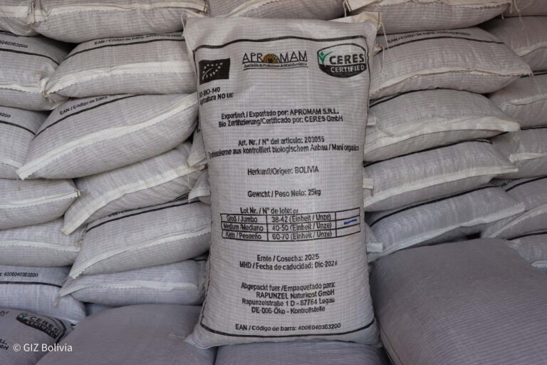 Bolivia’s Organic Peanuts Reach Europe: German Cooperation Boosts Sustainable Exports