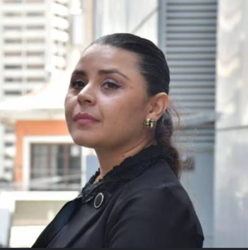 Interpelación sin PIE: jurista refuta a la vocera y cuestiona inasistencia del ministro Medinaceli