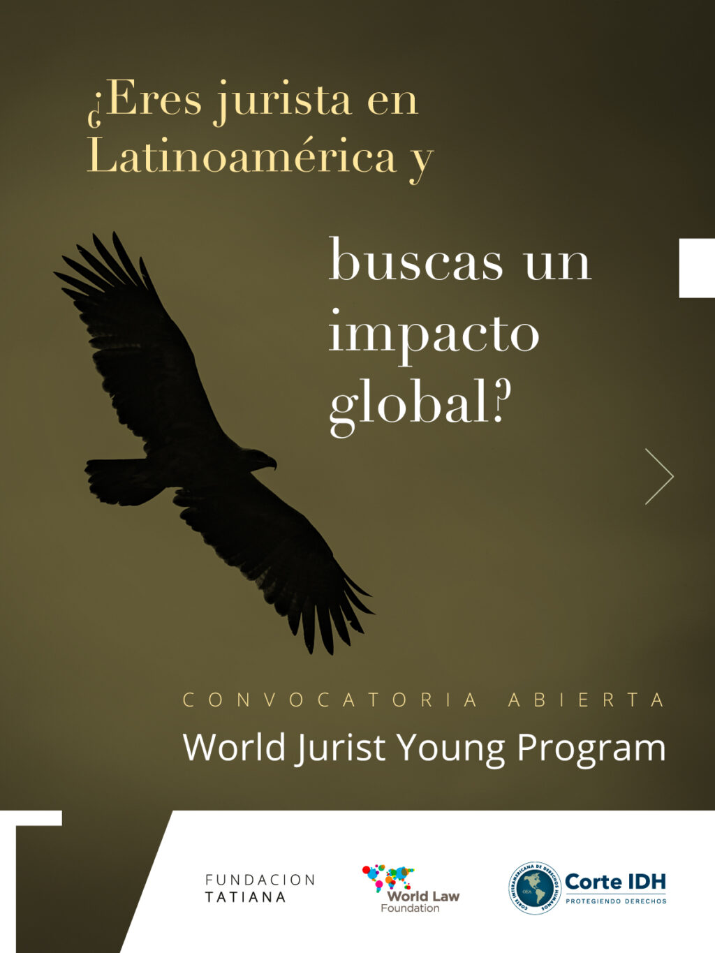 Corte Interamericana abre convocatoria para jóvenes juristas latinoamericanos: bolivianos pueden postular al World Jurist Young Program