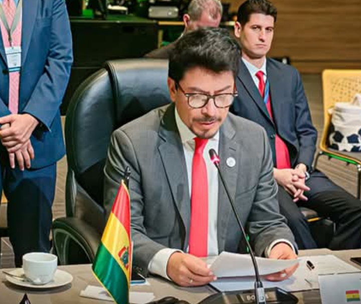 Bolivia respalda a Argentina por Malvinas: gesto diplomático que suma apoyo, pero abre interrogantes estratégicos