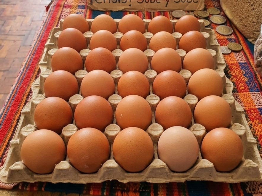 Huevo a 70 bolivianos: entre mirar el precio y seguir de largo, crece la preocupación por el costo de vida en Bolivia